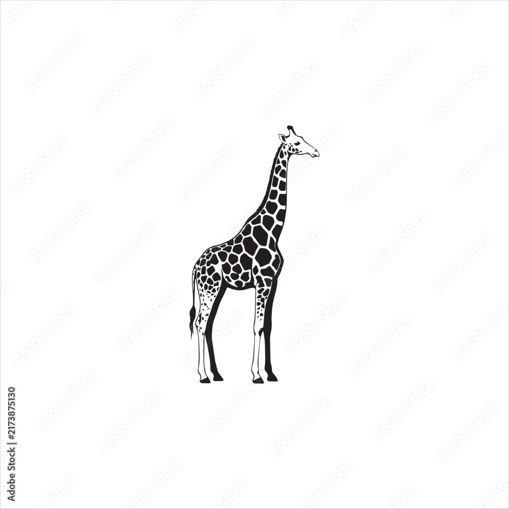 Obraz premium Elegant Giraffe Standing Isolated on White Background, Minimal Black and White Giraffe Animal Design, Tall African Giraffe Wildlife Silhouette Illustration, Graceful Giraffe with Detailed Pattern Desi