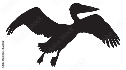 A pelican in flight is depicted as a black silhouette