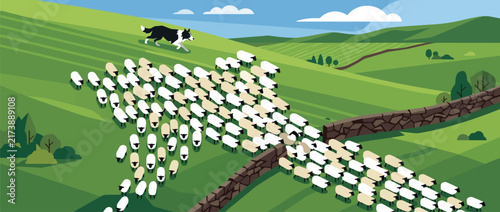 Border Collie Dog Herding A Large Flock Of Sheep On Green Hills.