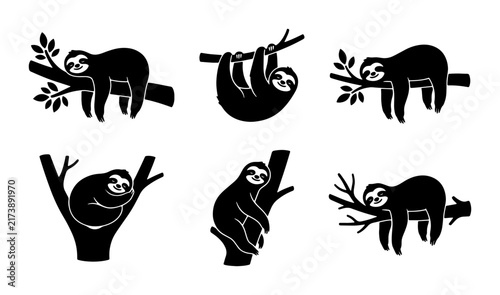 Canvas Print Sloth Vector Icons Set, Cute Animal Silhouettes Hanging on Branches, Black and W