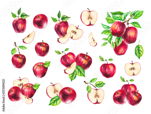 Apples with leaves and branches isolated on white. Hand-painted watercolor fruit and botanical elements for food packaging, textile, fabric, menu, branding and design.