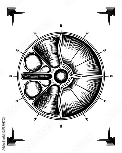 Abstract Circular Mandala Design with Symmetrical Hatching and Compass Markings