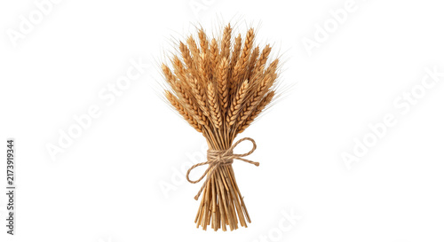 Obraz na plátně Golden wheat stalks tied with twine, a symbol of harvest and abundance