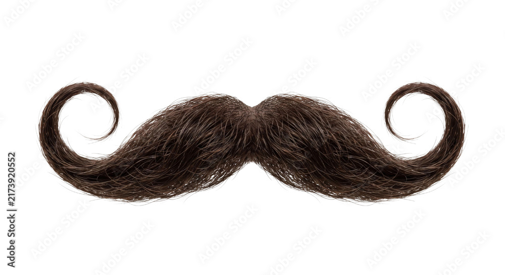 Obraz premium Elaborate curled brown mustache on a white background