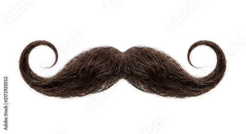 Bild auf Leinwand Elaborate curled brown mustache on a white background