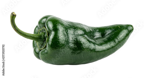 Bild auf Leinwand Single dark green poblano pepper with curved stem on a white background