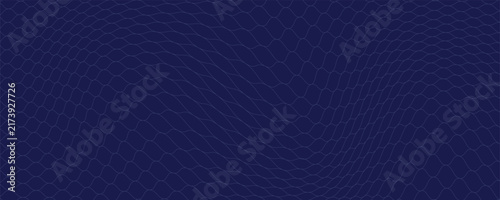 Mesh texture for fishing nets. Seamless pattern for sportswear or soccer goal, volleyball net, basketball hoop, hockey, athletics. Abstract net background for sports