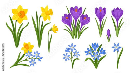 Colorful Spring Flowers Vector Illustration Isolated on White Background with Crocus Tulip Daffodil and Floral Garden Blossoms for Seasonal Nature Design