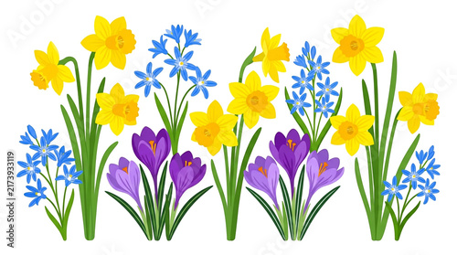 Yellow Spring Flowers with Daffodils, White and Blue Blossoms, Green Leaves and Grass, Colorful Floral Garden Nature Background for Easter and Seasonal Decoration