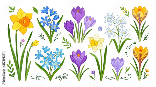 Crocuses Growing in Garden Grass, Colorful Spring Flowers with Green Leaves, Natural Floral Blossom and Seasonal Garden Decoration