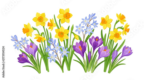 Spring Crocus Flowers in Yellow and Purple Isolated on White Background, Colorful Floral Blossom Collection for Garden, Nature, Easter and Seasonal Spring Decoration