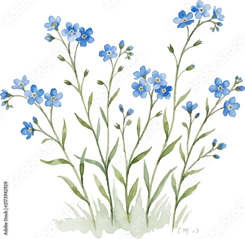 Delicate blue forget me not flowers painting suitable for stationery, invitations, prints, and springthemed designs. Botanical, artistic, floral watercolor.
