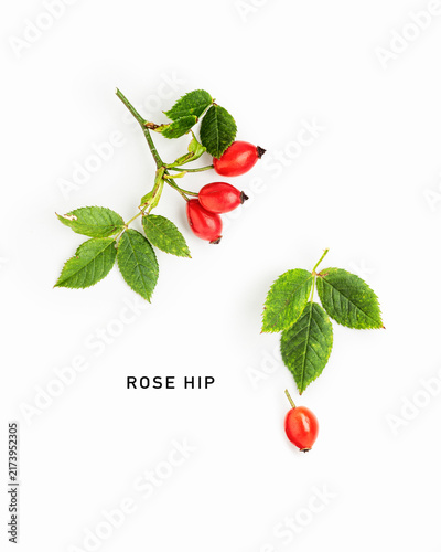 Fresh rose hips isolated on white background. Botanical composition with red fruits, green leaves, branches