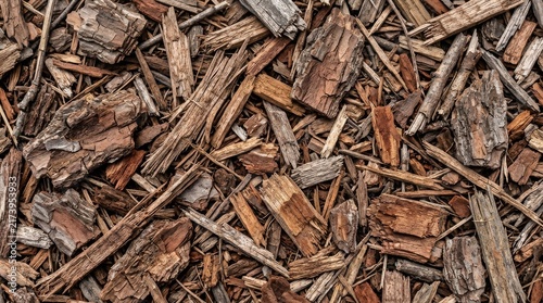 Natural wood bark mulch texture background for garden landscaping and forest floor design