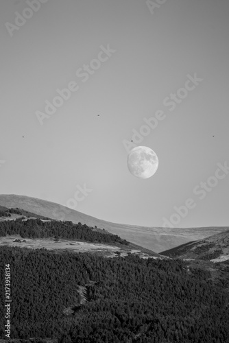 moon over the sea