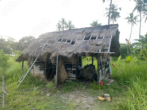 Canvastavla Abandoned traditional wooden shed with makeshift ladder in a tropical coconut pa