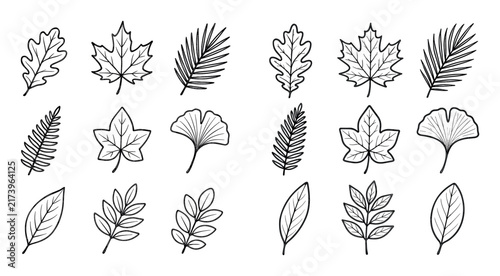 Nature icons with oak maple ginkgo outline