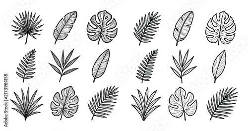 Tropical icons with palm monstera fern outline style