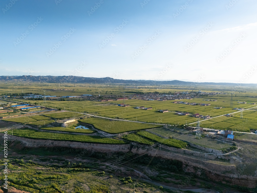 Naklejka premium Aerial view of vast green rice fields and distant mountains