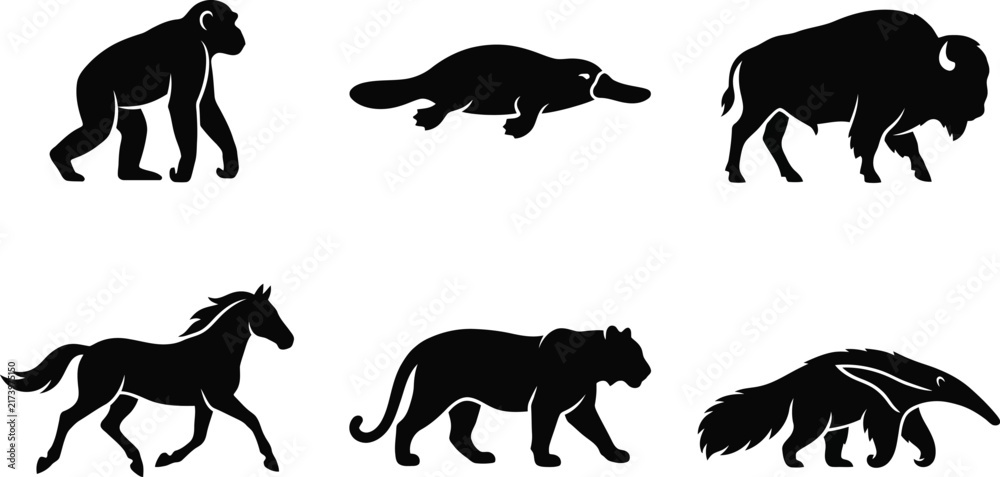 Fototapeta premium Set of black silhouettes of wild animals including monkey platypus buffalo horse tiger and anteater isolated on white