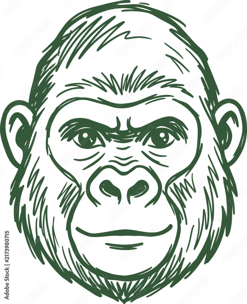 Fototapeta premium Hand-drawn gorilla head vector illustration, vintage sketch of a primate face, green ink style ape mascot for logo design