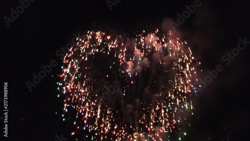 Fireworks Display Lighting Up Night Sky in Festive Celebration