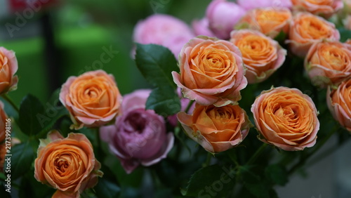 Pink and Orange Roses