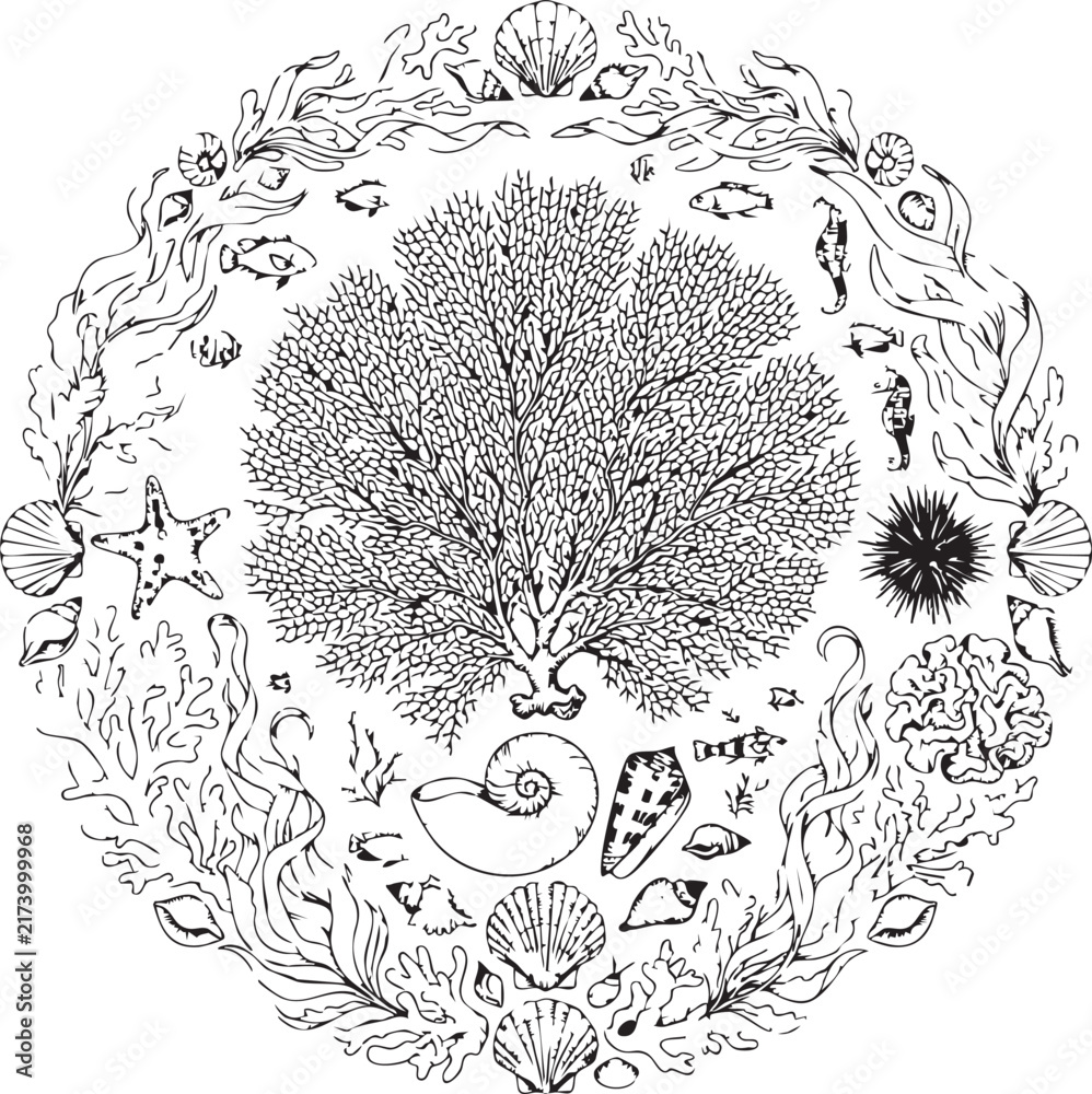 Fototapeta premium Sea Fan and Shell Illustration for Marine and Ocean Themes
