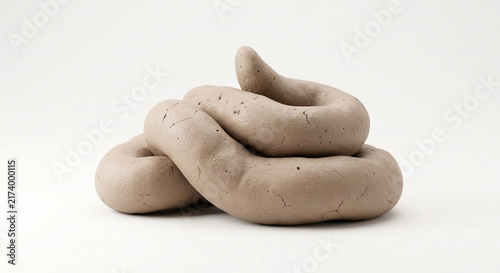 3D model of coiled feces isolated on white background