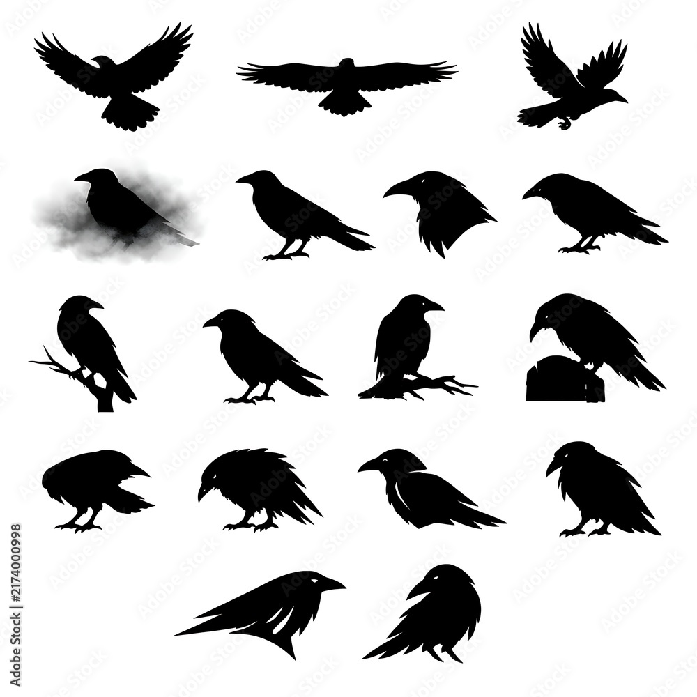 Fototapeta premium Halloween black raven silhouettes with moon and stars on a white background