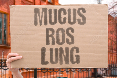 Canvas Print "Mucus ROS lung" Responsive microrobots penetrate lung mucus