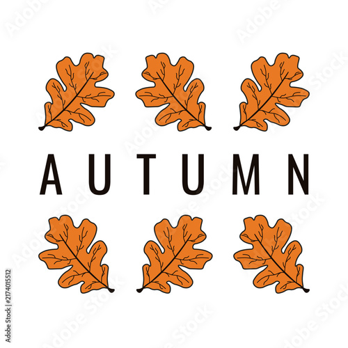 Autumn Poster design. Vector illustration of Autumnal dry Leaves frame with Autumn bold text isolated transparent background. Perfect fall season t-shirt print hoodies decor. EPS 10