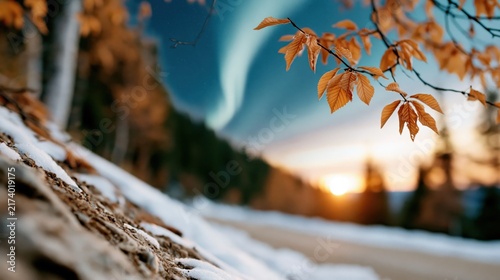Vibrant autumn leaves catch the ethereal glow of northern lights against a stunning sunset sky, illustrating the beauty of nature's transitions and seasonal changes.