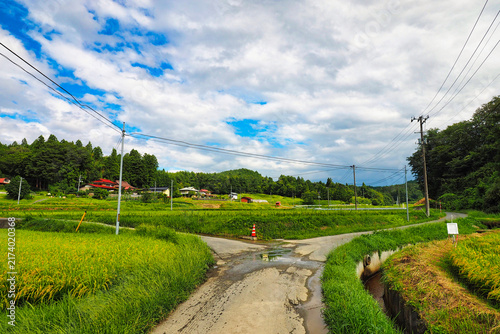 Naklejka 日本の田舎の道路の風景