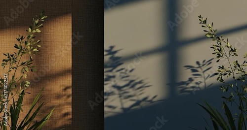 Indoor plant shadows on a minimalist wall.