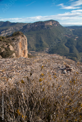 Принти на полотні Rocky mountain landscape with forest and blue sky