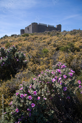 Puñonrostro castle in seseña spain with purple flowers