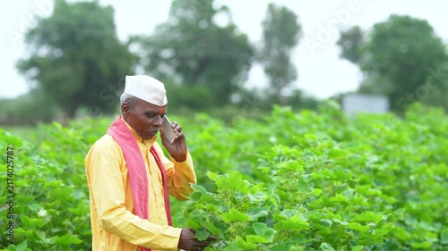 senior indian farmer talking on mobile phone at cotton agriculture field