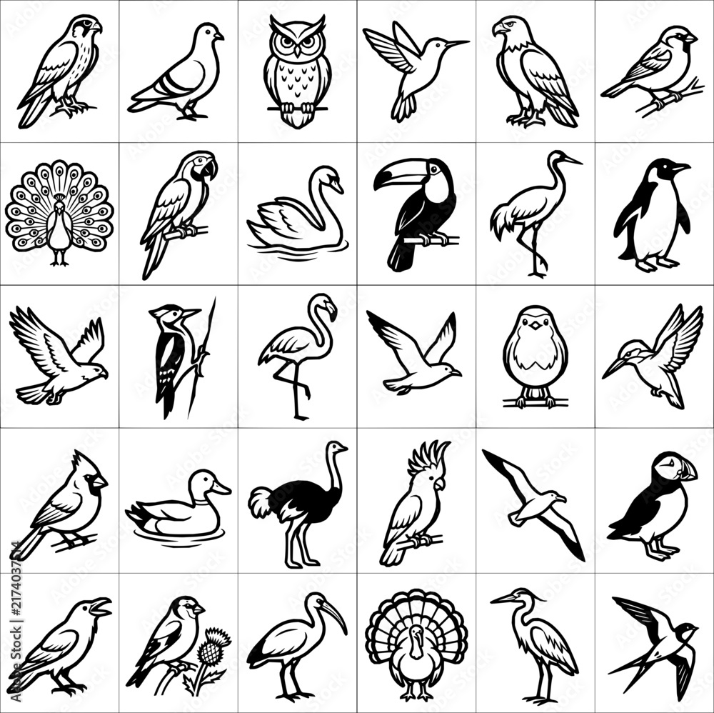 Naklejka premium Vector Bird Line Art Icon Outline - Collection Of Different Wild Birds And Flying Animals Set
