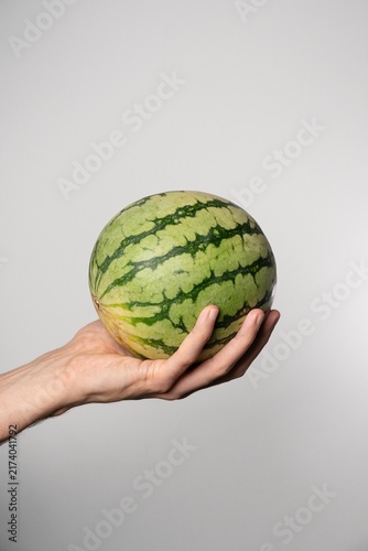 Obraz na plátně Mini watermelon held in one hand