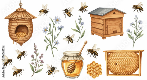 Beekeeping and Honey Production Illustration Set