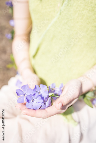 Сlose up of hands holding a flower