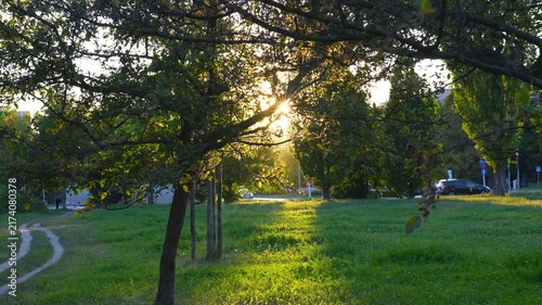 sunset in the park area
