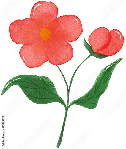 Flower Clip Art | Watercolor