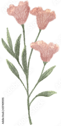 Flower Clip Art | Oil Pastel