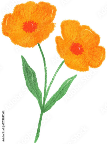 Flower Clip Art | Oil Pastel