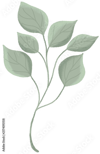 Watercolor Plant Clip Art