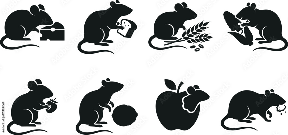 Obraz premium Black silhouette icons set of hungry mice and rats eating cheese bread wheat corn apple berry and nuts on white background