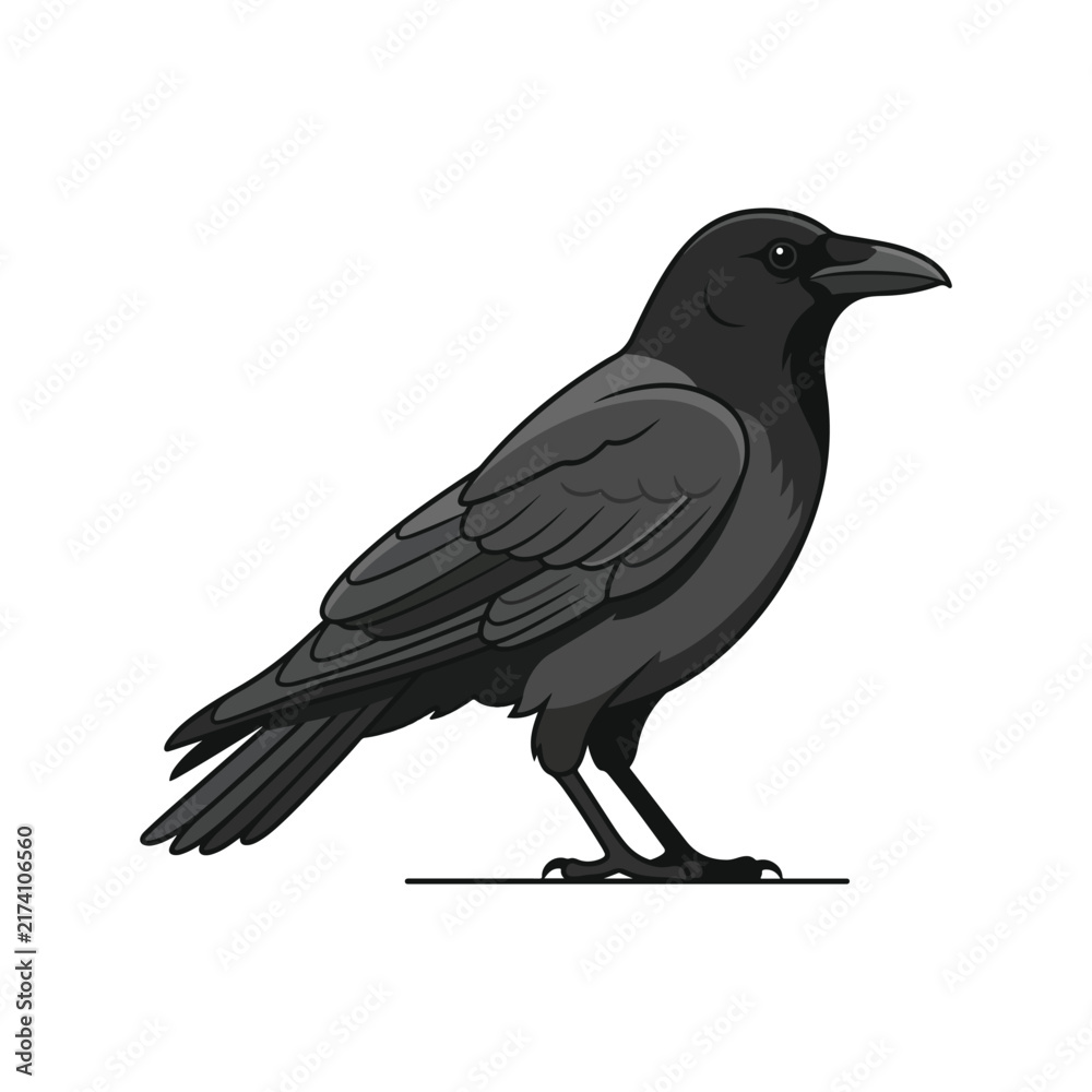Fototapeta premium Black Crow Bird Standing Side View Flat Vector Illustration Icon