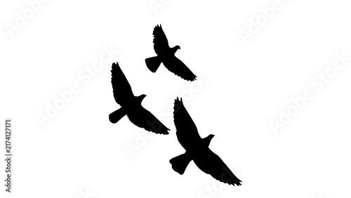 Cuadro en lienzo Three black birds flying in the sky together as a flock in a simple artistic sil